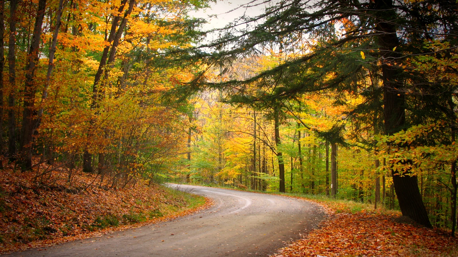 Road in the Enchanted Mountains during Autumn