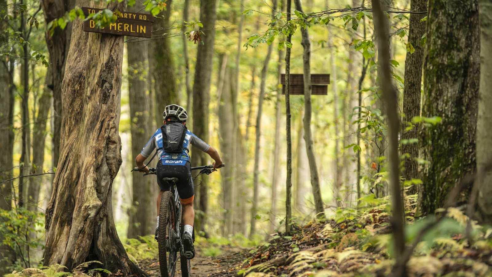 Mountain Biking at HoliMont by Mike Basher