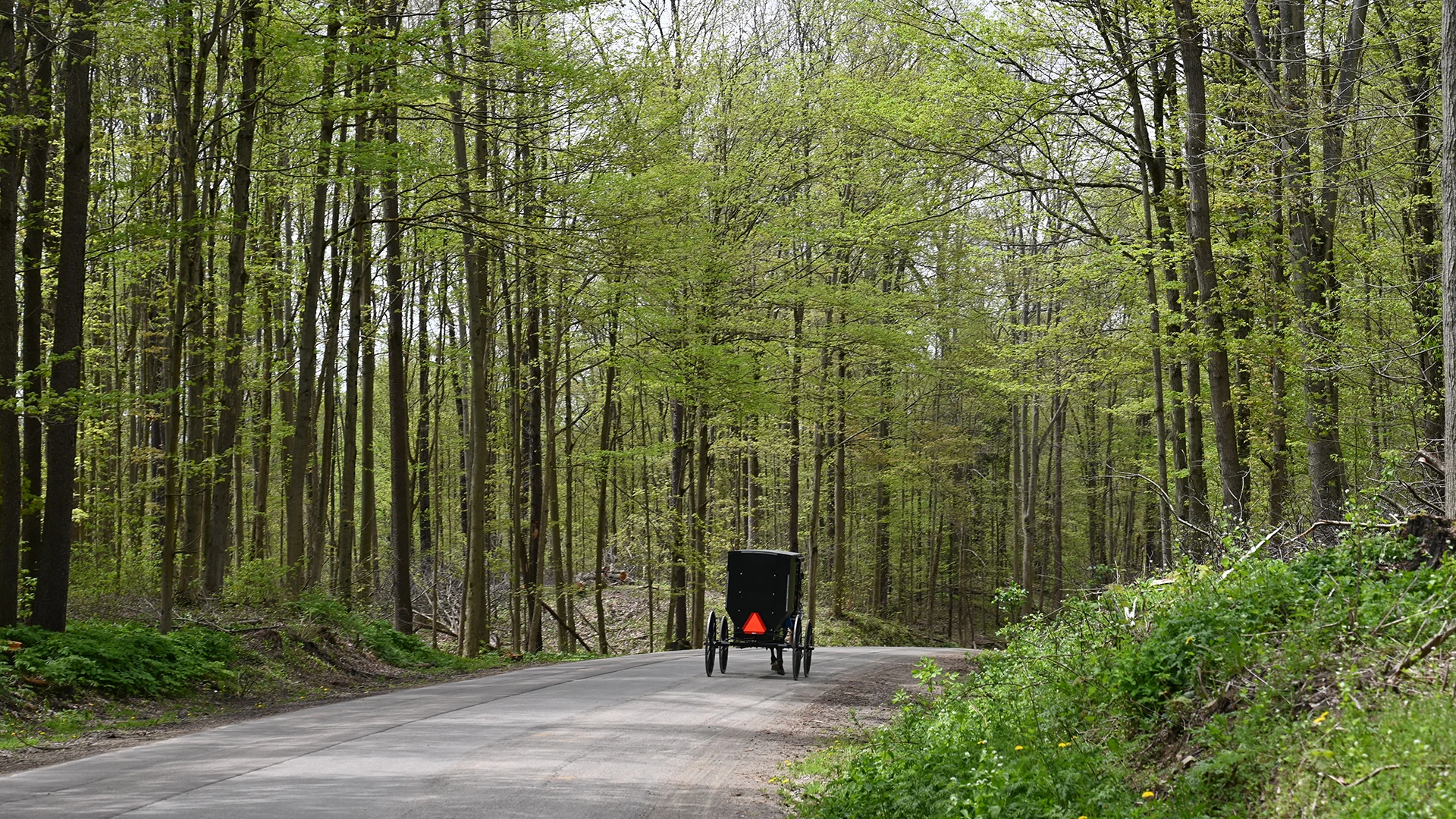 Spring Along NY's Amish Trail