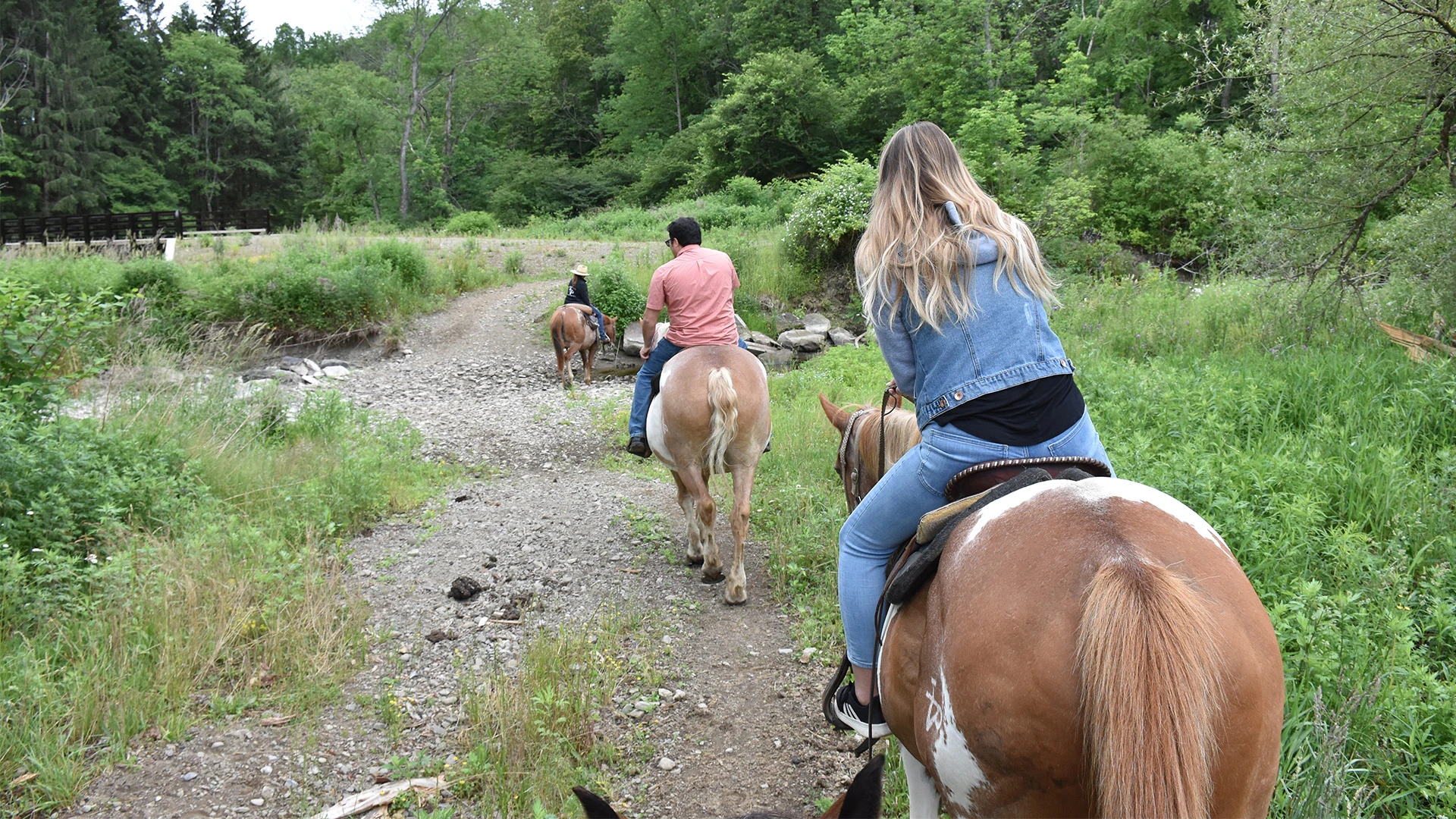 Horses and riders guided by the Crosspatch