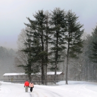 Hikers at Allegany State Park