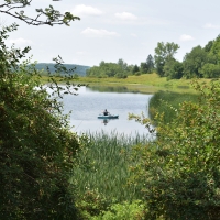 Kayaker at Harwood Lake