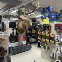 Inside of Whitetail Country Sports World in Olean, NY