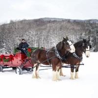 Carriage rides in the Winter at The Little Red Barn Farm