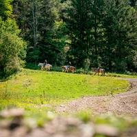 Horseback riding with Whisper Mountain Ranch