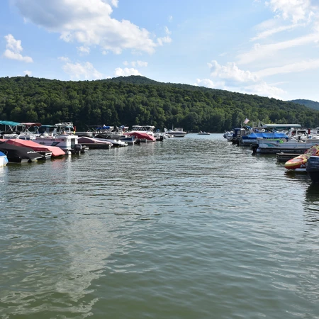 Boats docked at Onoville Marina Park