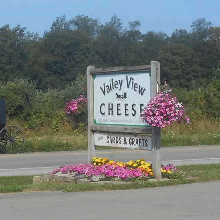 Valley View Cheese Sign