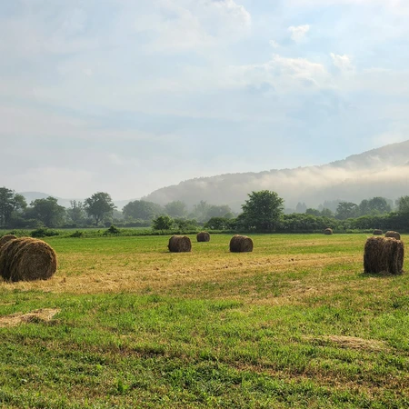 Farm in Great Valley, NY