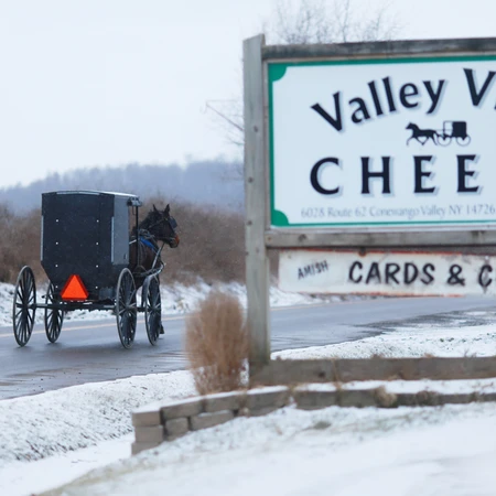 Amish Buggy going by Valley View Cheese in Winter