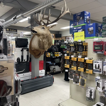 Inside of Whitetail Country Sports World in Olean, NY