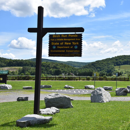 Birch Run Ponds 