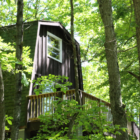 Cabin at Highbanks