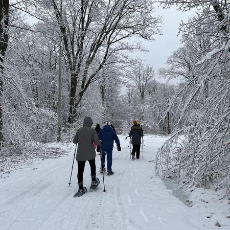 Snowshoeing through a winter wonderland at Allegany State Park