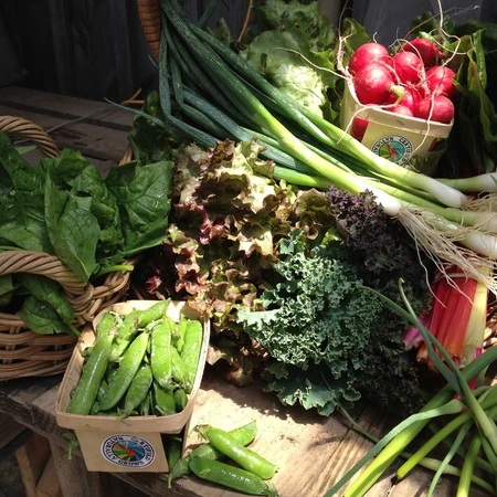 Canticle Farm - Produce Haul