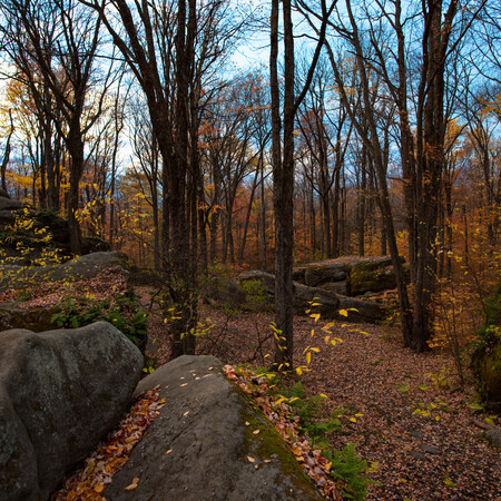 Thunder Rocks at Allegany State Park