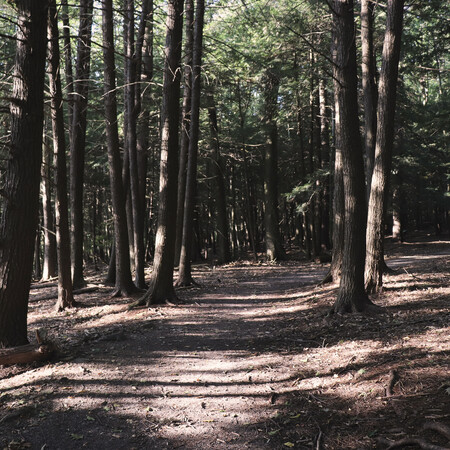 Pfeiffer Nature Center