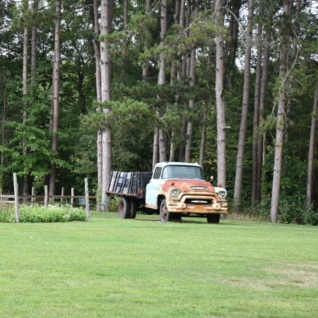 Truck and flowers at Burdick Blueberries