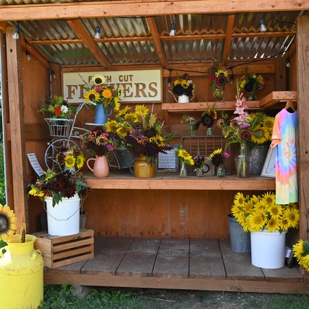 Bouquets at The Songin Farm