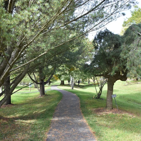 Pathway at Nannen Arboretum