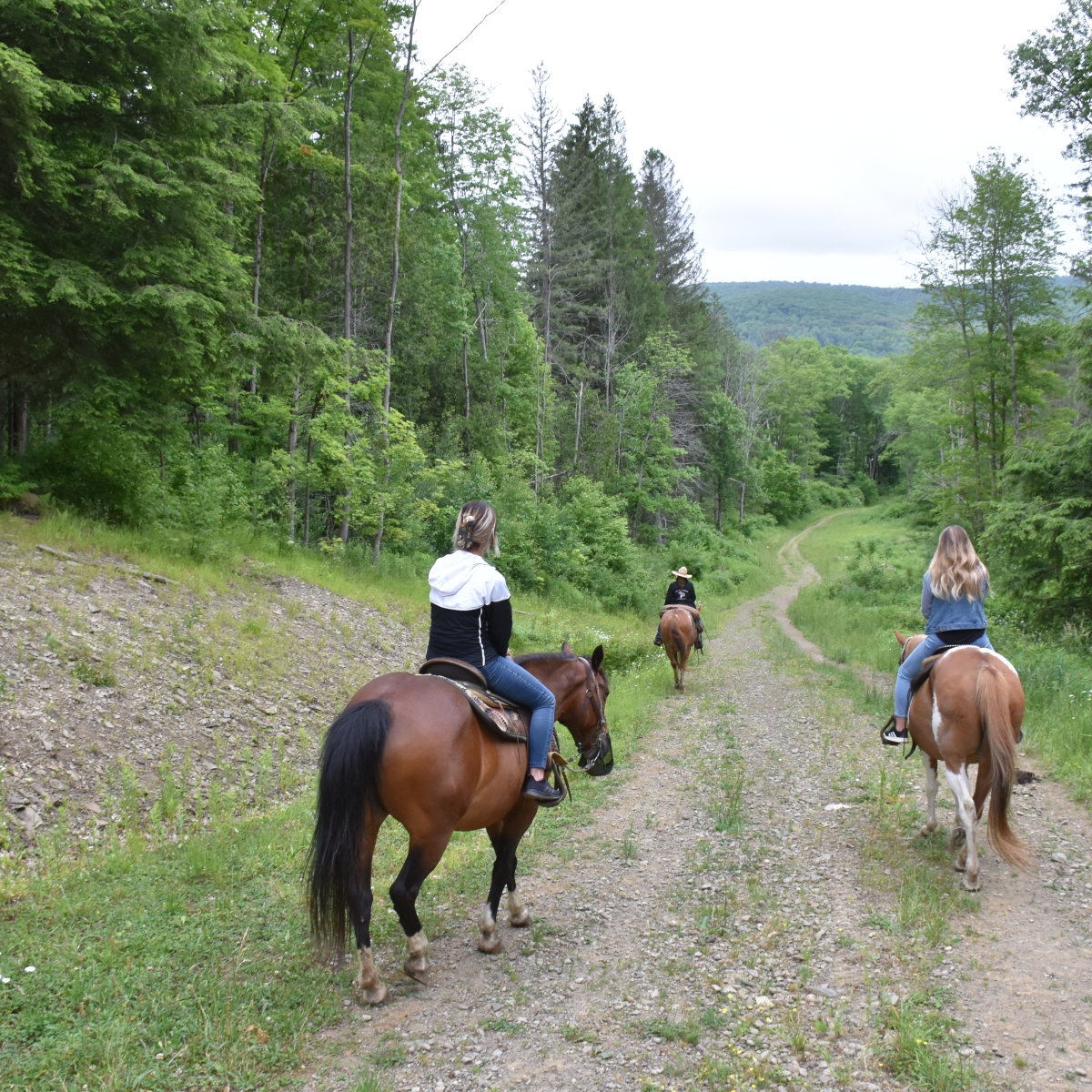 Horseback riding with The Crosspatch