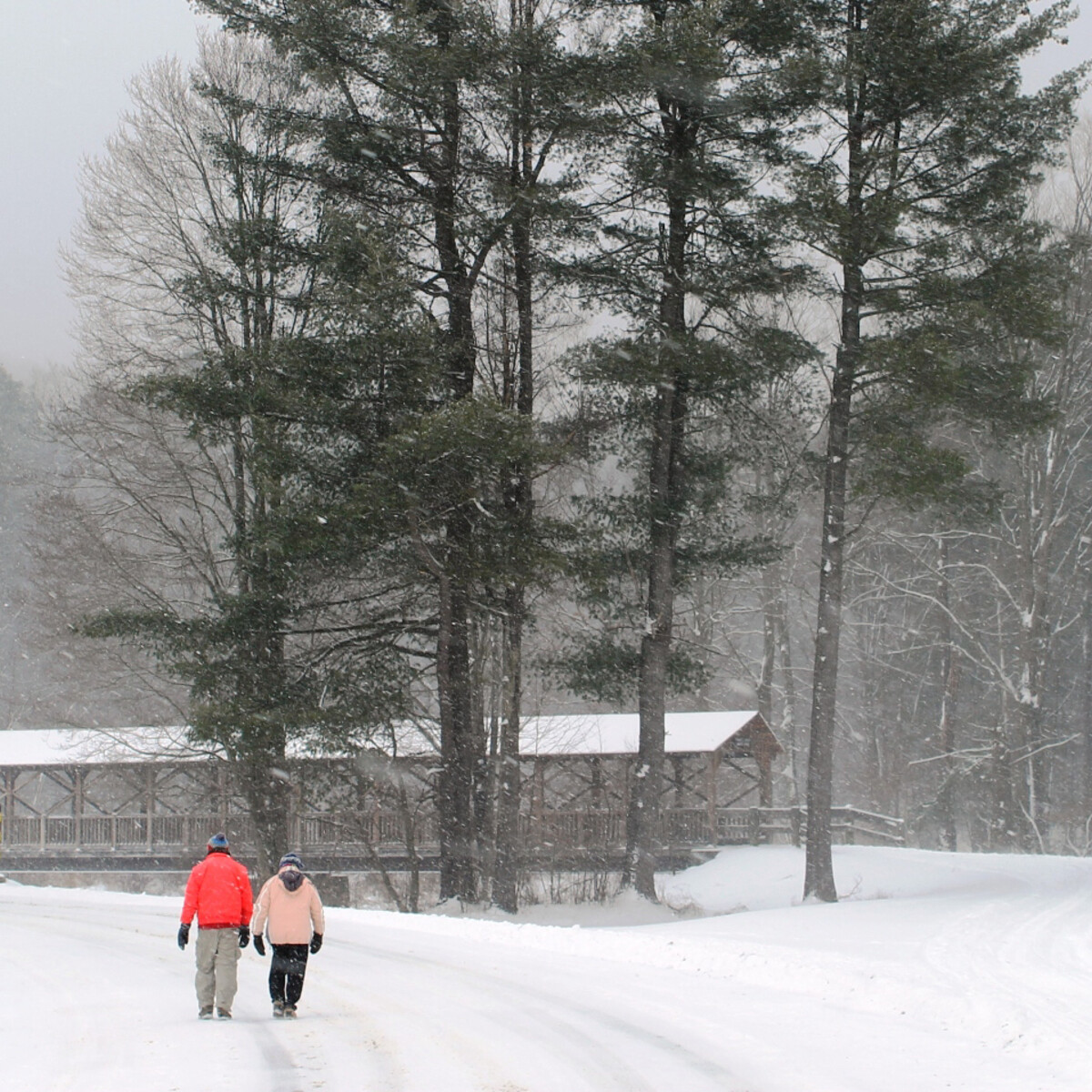 Walking by the covered bridge at Allegany State Park