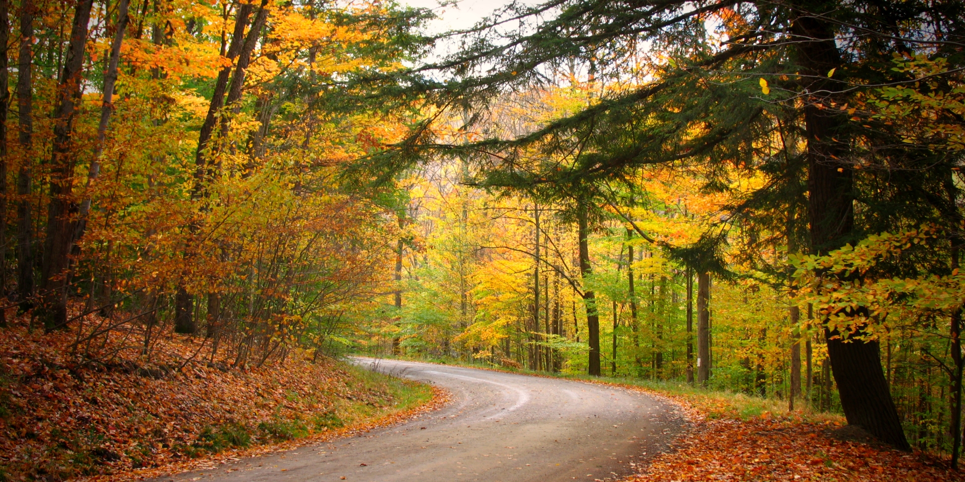 Christmas Tree Pottery Class with TShed Pottery Enchanted Mountains