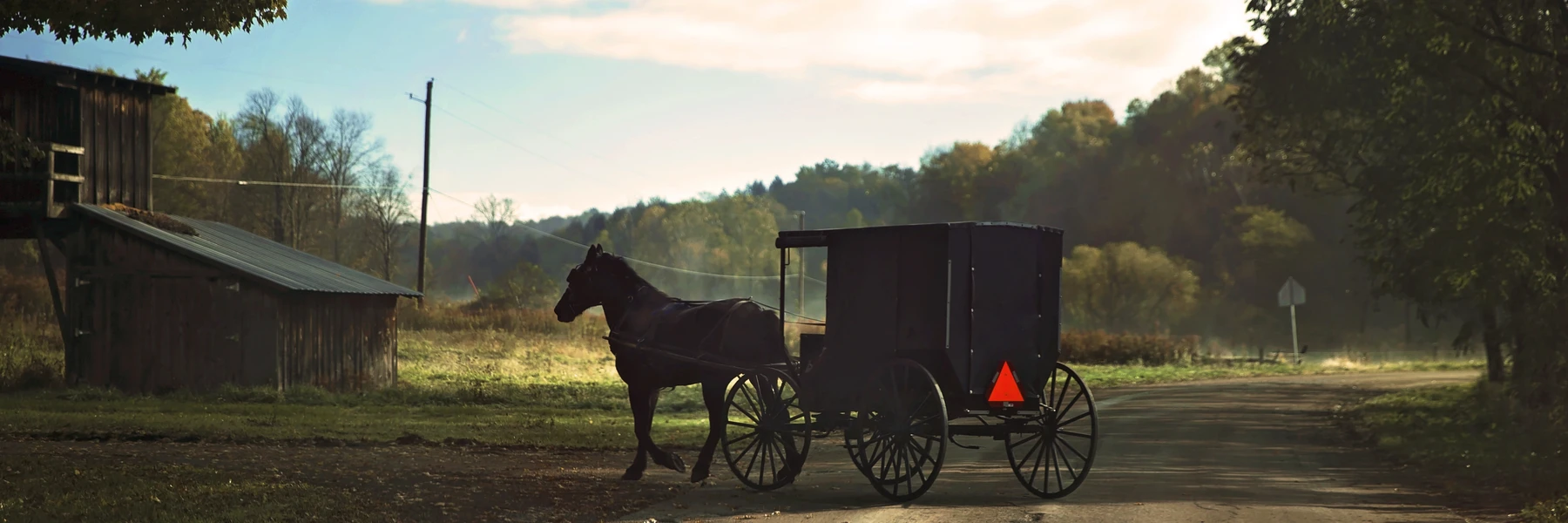 Amish Horst and Buggy