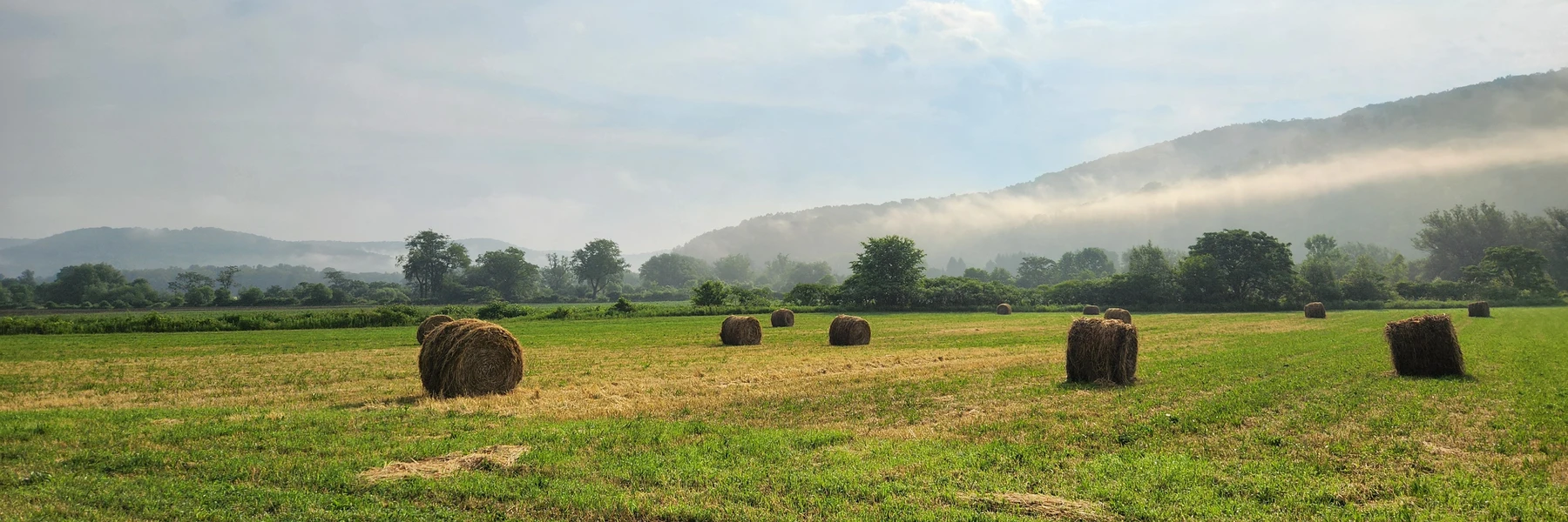 Farm in Great Valley, NY