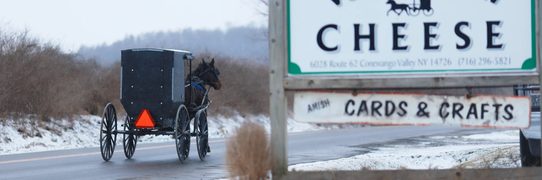 Amish Buggy going by Valley View Cheese in Winter