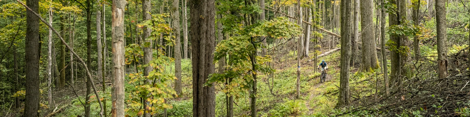 Mountain Biking at HoliMont 