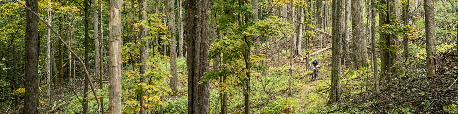 Mountain Biking at HoliMont 