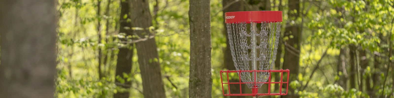 Disc Golf at HoliMont's course