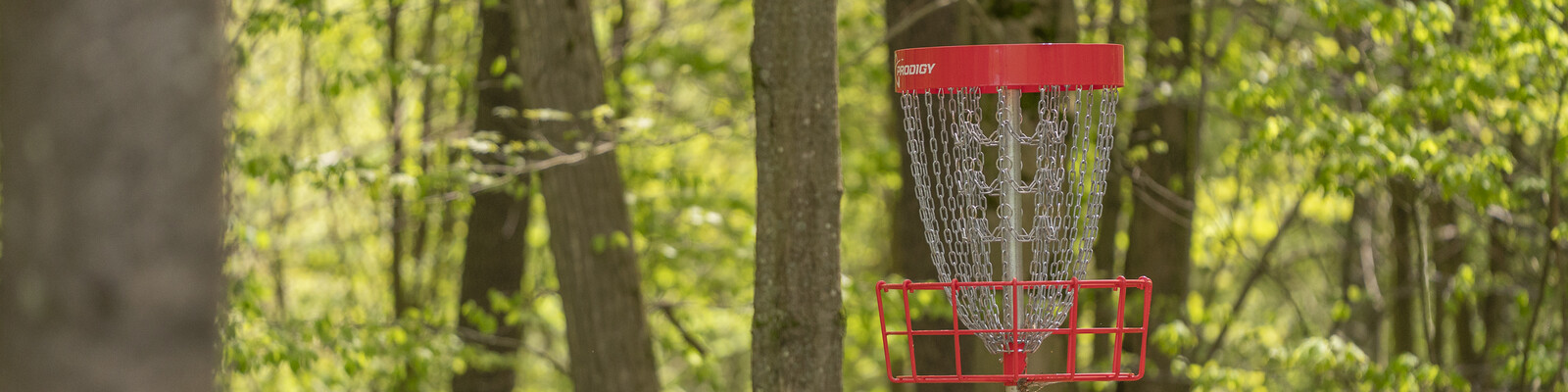 Disc Golf at HoliMont's course