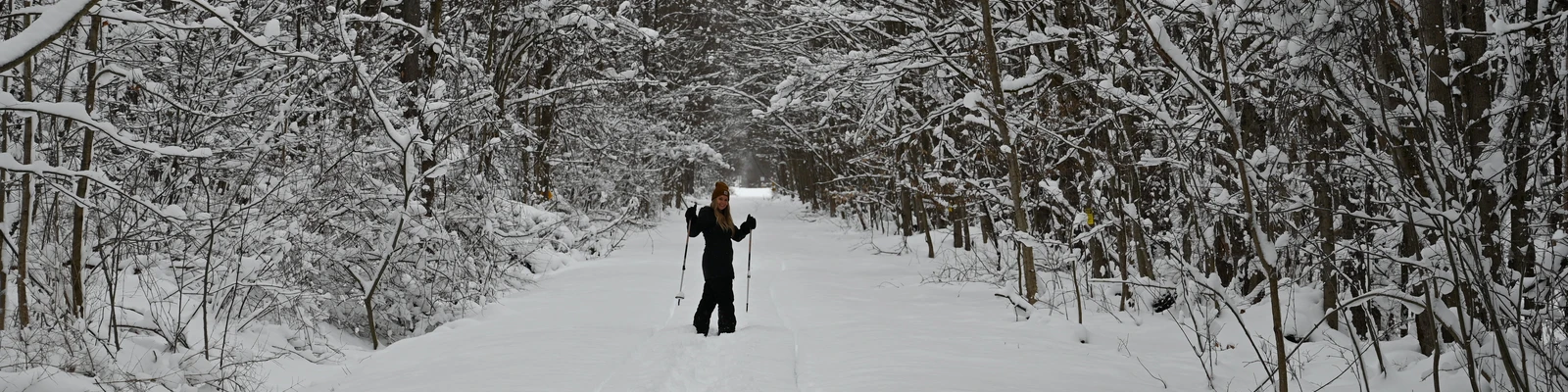 Snowshoeing on the Pat McGee Trail 2025