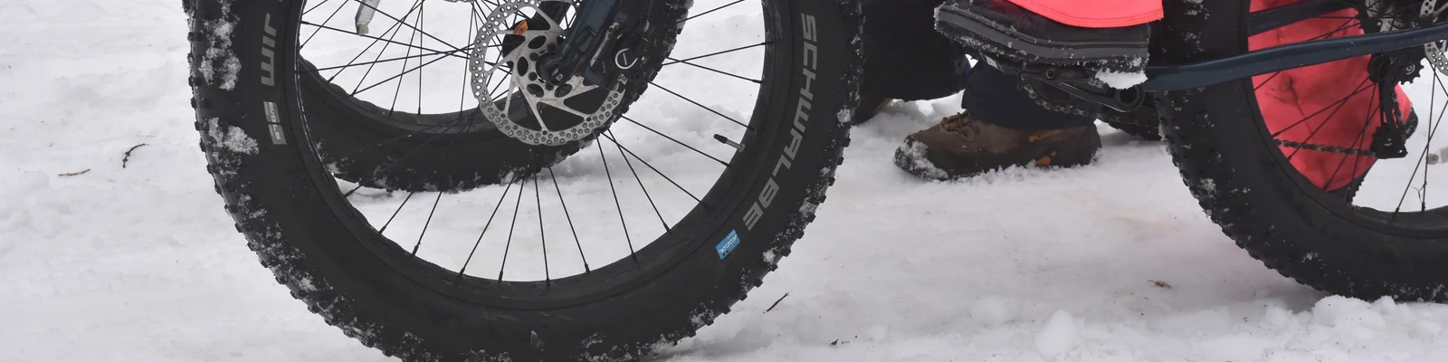 Fat Bikes along trail in Allegany State Park