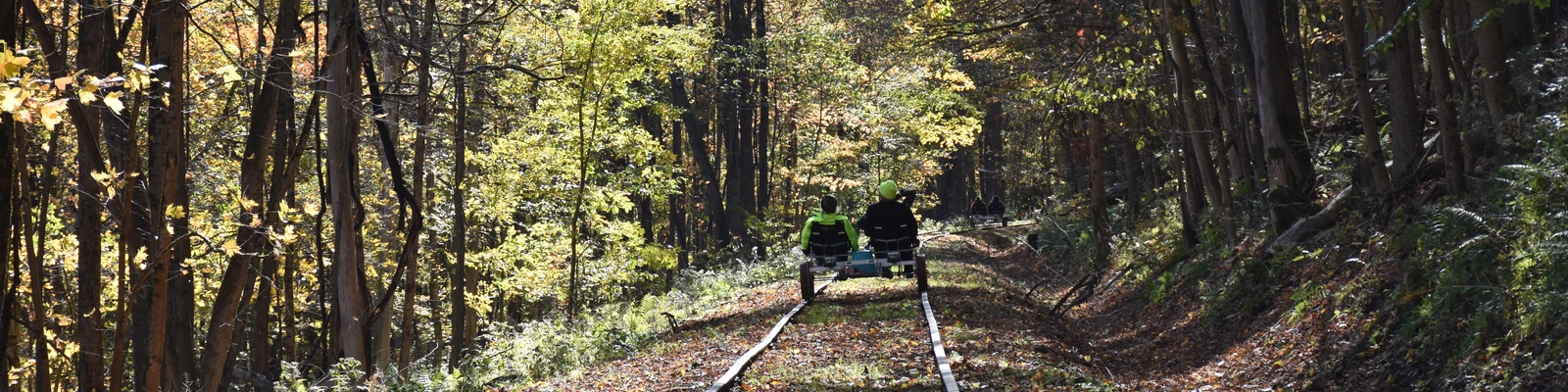 People pedaling on a rail bike in Cattaraugus, New York