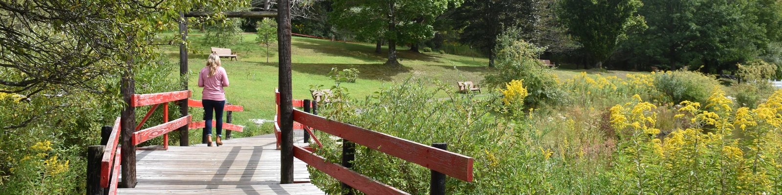 Walking along the path at Nannen Arboretum 