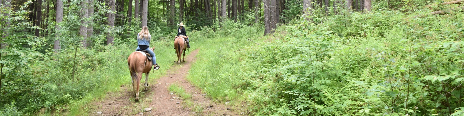 Horseback riding with The Crosspatch