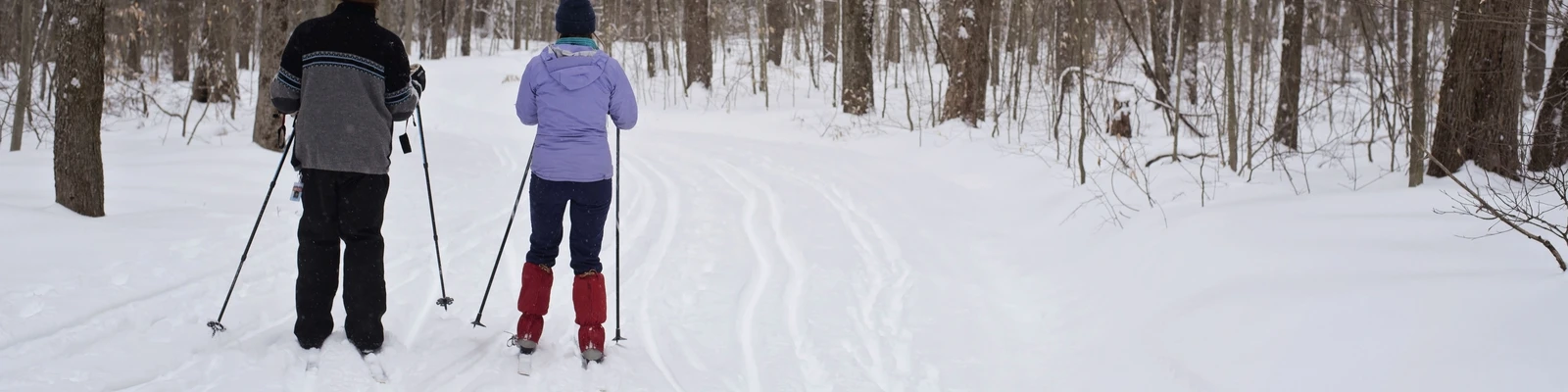 Cross Country Skiiers on the Art Roscoe Trail in Allegany State Park