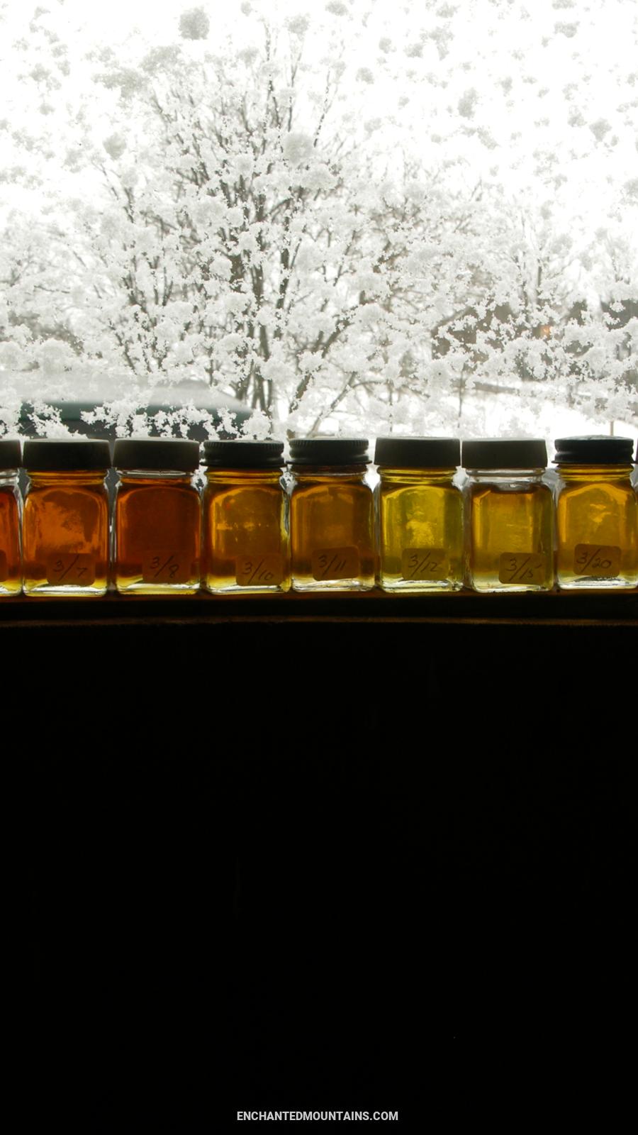 Jars of maple syrup in the window show the colors of maple syrup. Taken at Moore's Sugar Shack and Pancake House