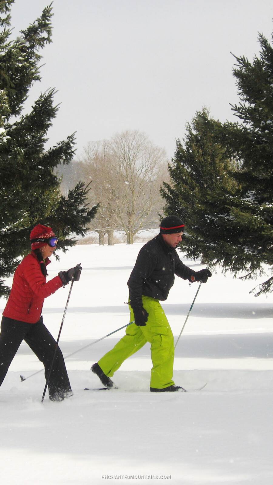 A couple cross country skiing around the golf course at Holiday Valley Resort (2016)