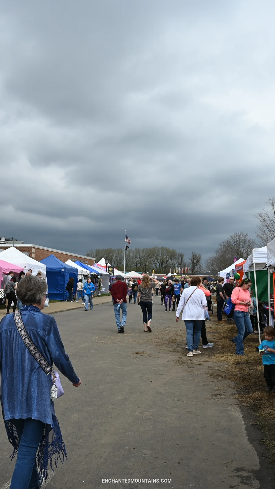 People walking by vendor and exhibitor booths at the WNY Maple Festival (Sunday 2024) at the Franklinville Elementary School - 0463
