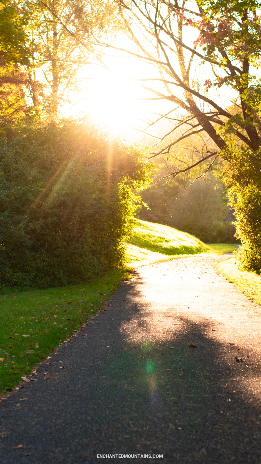 Red House paved Path
