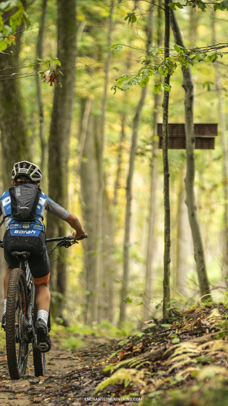 Mountain Biking at HoliMont by Mike Basher