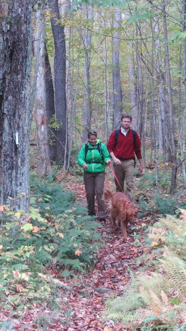 Hiking at Allegany State Park