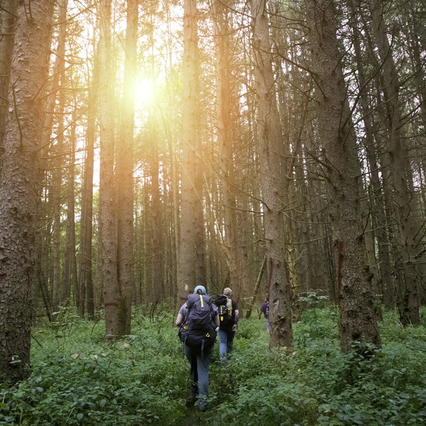 Hiking along the North Country Trail