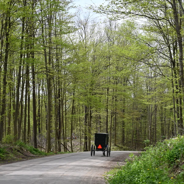 Horse and buggy's along the Amish Trail