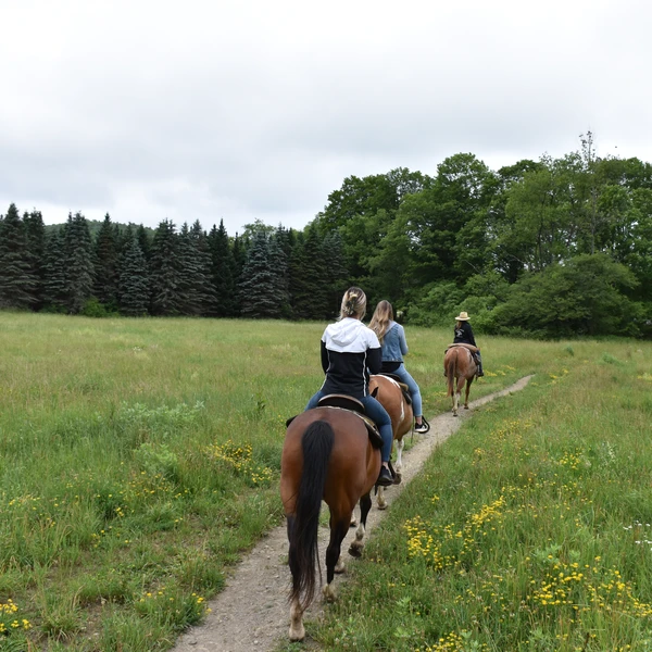 Horseback riding with The Crosspatch
