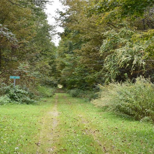 County Center access on Pat McGee Trail