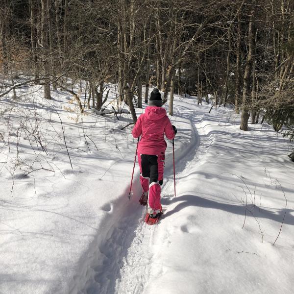Snowshoeing through McCarty Hill State Forest